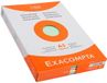 Exacompta 10x etui 100 steekkaarten bristol geruit 5x5 niet geperforeerd 148x210mm - Geassorteerd