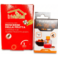 InVerdel, KnockPest Fruitvliegenvallen Set van 2 – Effectieve Bestrijding van Fruitvliegjes in Huis