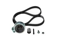 Tandriem/rollenset