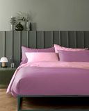 Bassetti Pop Color Double beddengoedset, 100% katoen, glycine, 250 x 200 cm