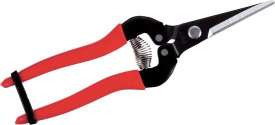 ARS Fruitschaar - 19cm - Recht - Rood