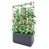 Bio Green City Jungle