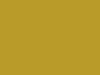 Merkloos / Sans marque rotolux Effen mat goud Inpakpapier – 30 cm × 200 m – 80 g/m² Gecoat