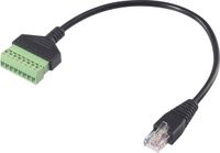 Renkforce RJ45 Netwerk Adapterkabel 30 cm Zwart