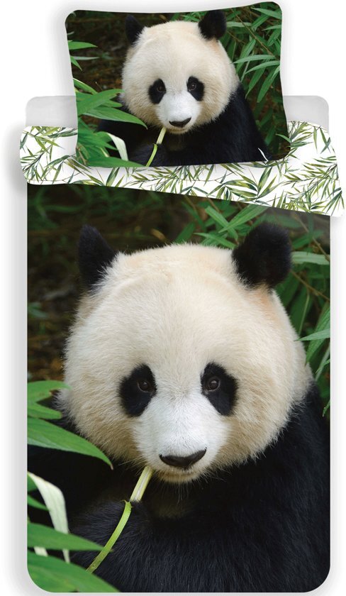 Animal Pictures Panda - Dekbedovertrek - Eenpersoons - 140 x 200 cm - Multi