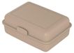 Icecat Lunchbox "School-Box" groot - Lunchbox durable en canne à sucre - Boîte à pain idéale pour enfants et adultes - couleur : abricot