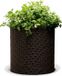 Keter Decoratieve bloempot Cilinder 36x36x37.3cm kunststof/bruin