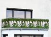 Maximex Balkon-privacyscherm, Ivy Fence, 5 m x 35 cm