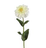 BELLAFIORA 01AMAZ019404 Kunstbloemen, Zinnia, 60 cm, crèmekleurig