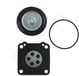 BPC Parts Carburateur reparatieset passend op RUIXING ( RX-3 )