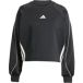 Adidas Dames sweatshirt Stadium 3 Stripes