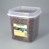 Suren Collection Biezen zijderupsen 10mm - Visvoer - 2,5l
