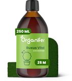 Organifer Buxus Vital 250ml - Concentraat voor 25 meter haag - Buxusmot Bestrijden - Buxusrups Bestrijdingmiddel - Buxus Schimmel - Natuurlijk weerbaar