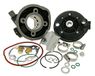 Cilinder TOP PERFORMANCES Cilinder Kit Trophy 70 cc / 10 mm - YAMAHA Aerox 50 (tot bouwjaar 1999) Type: 5BR
