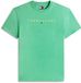 Tommy Hilfiger Tommy Jeans T-shirt Tjm Reg Linear Logo Tee Ext Dm0dm20744 0h9 Bahama Green Mannen Maat - XL