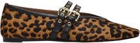Steve Madden Dames ballerina's Lydia-L luipaard