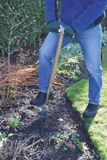 Spear & Jackson Traditionele knolplanter, roestvrij staal, met lange steel
