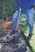 Spear & Jackson Traditionele knolplanter, roestvrij staal, met lange steel