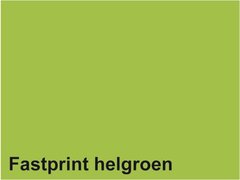 Fastprint Gekleurd Papier A 4 120 gr FP Helgroen 250 vel