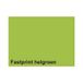 Fastprint Gekleurd Papier A4 120 gr Helgroen 250 vel