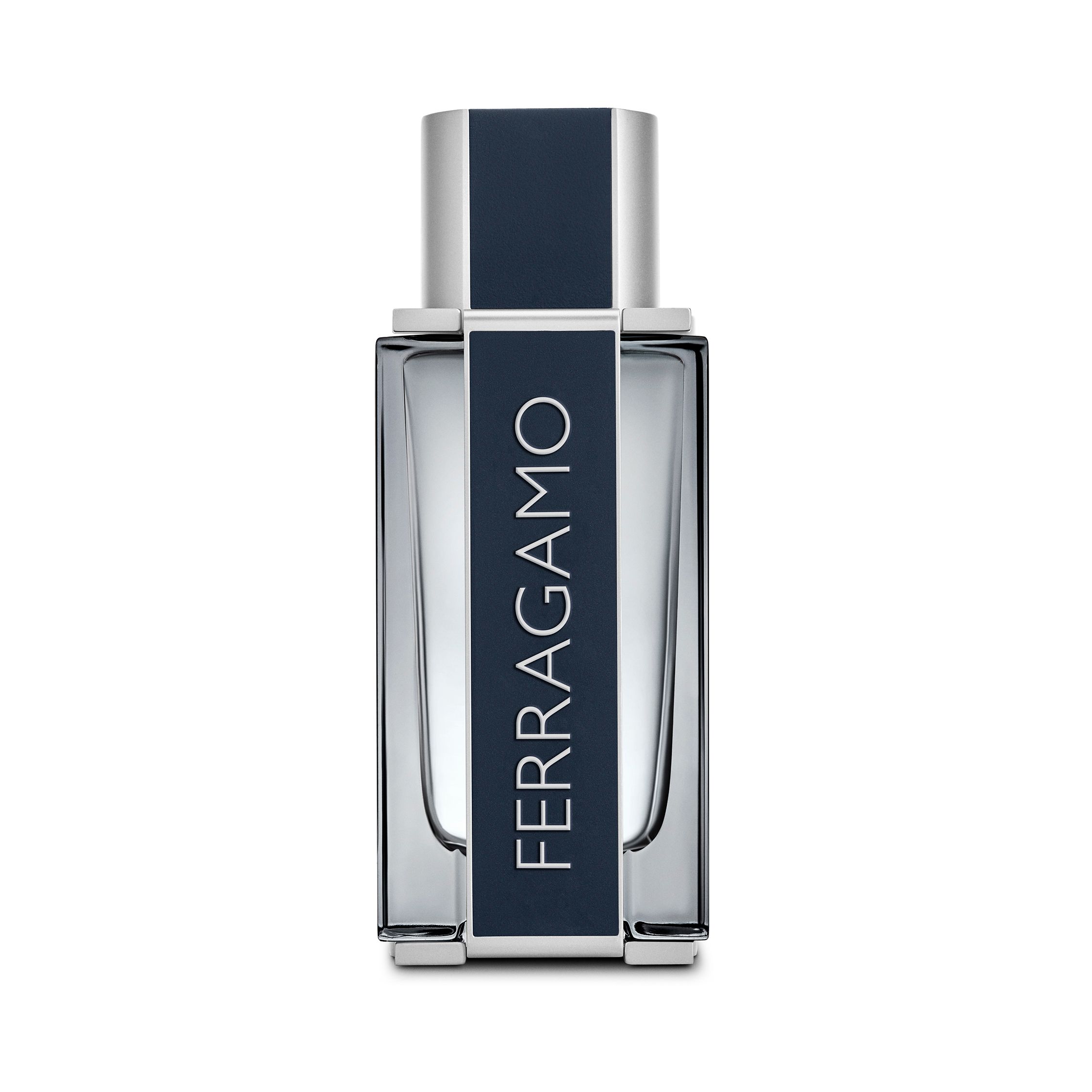 Salvatore Ferragamo Eau de Toilette / 100 ml / Heren