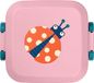 Amuse Rikko Kids Ladybug Lunchbox