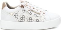 XTI 142229 Trainer - WIT