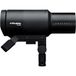 Profoto Pro-D3 1250