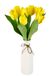 Kunstplant Icecat Kunstplant vrouwenhaar op mosbal varen varenstruik bosvaren kunstplant kamerplant kantoorplant groene plant decoratieve bal kunstmos struiken decoratieve garen varenplant