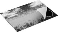 Chefcare Inductie Beschermer Abstracte Kunst - Landschap van Veld Graan - Zwart Wit - 75x50 cm