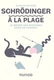 Schrödinger à la plage: La physique quantique dans un transat