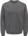 ONLY & SONS Sweatshirt ONSLARRY Sweatshirt