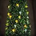 Garden Of Eden LED Lichtslinger Op Zonne-Energie - Paddenstoel - 25 Warm Witte LED's - 2,4 m Verlicht Deel - Totale Lengte 5,4 m - 2 Lichtstanden - IP44 - Voor Tuin [58220C]