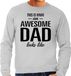Bellatio Decorations Shoppartners Bv This is what an awesome dad looks like cadeau sweater grijs - heren - Vaderdag / cadeau trui M