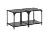 Maison Exclusive - Tables basses avec plateau en verre, 2 pièces, noir, 40x40x40 cm, acier