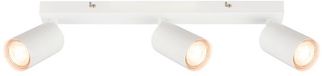 B.K.Licht - LED plafondlamp EEK A draaibaar, 3000K warm wit, 2W elk, 450 lumen elk, ca. 50.000h licht, plafondlamp, lamp, woonkamerlamp, slaapkamerlamp, keukenlamp, plafond, 44 cm, wit