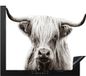 Merkloos KitchenYeah® Inductie beschermer 59x52 cm - Schotse Hooglander - Wit - Koe - Inductiebeschermer