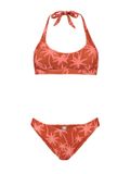 Shiwi Ladies Joan Bikini Set Vacation Palm Spice Route Brown Taille: 34