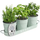 Barnyard Designs Kruidenpottenset met dienblad