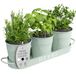 Barnyard Designs Kruidenpottenset met dienblad