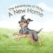 A New Home
