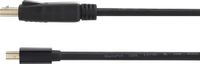 Renkforce RF-4538172 DisplayPort-kabel Mini-displayport / DisplayPort Adapterkabel Mini DisplayPort-stekker, DisplayPort-stekker 1.00 m Zwart Vergulde