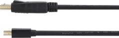 Renkforce RF-4538172 DisplayPort-kabel Mini-displayport / DisplayPort Adapterkabel Mini DisplayPort-stekker, DisplayPort-stekker 1.00 m Zwart Vergulde