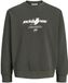 JACK & JONES Sweatshirt 'JCOCLUB BRANDING' aardetinten / wit / offwhite