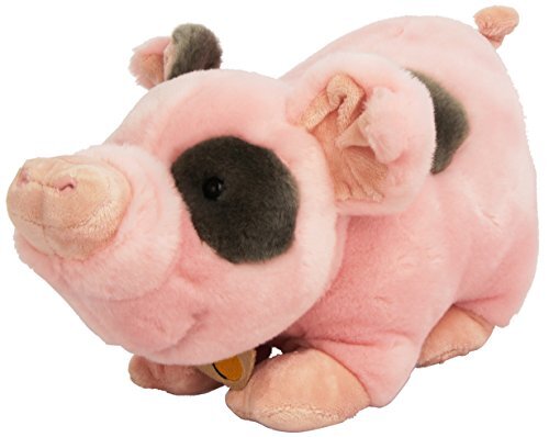 Plush & Company Pluche pluche dieren & Company 05918 – Pig Rovys – 33 cm