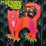 Suburban Pussy plays plus/Humdiggle we love you CD