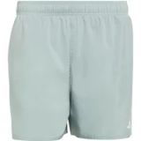 Adidas Zwemshort 5"