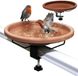 Zouma B.V. Bain d'oiseaux pour balcons, avec support en acier inoxydable, résistant aux intempéries et au gel, 30 cm de diamètre, adapté aux jardins, terrasses et garde-corps de balcon.