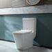 Hudson Reed Toilet Duoblok Moderne avec Bouton de Chasse Noir et Abattant WC Soft-Close | 38 x 68cm