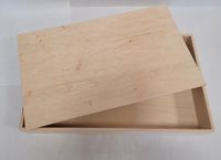 Alexander Toys Houten Speelbak Met Deksel 50x30x7cm